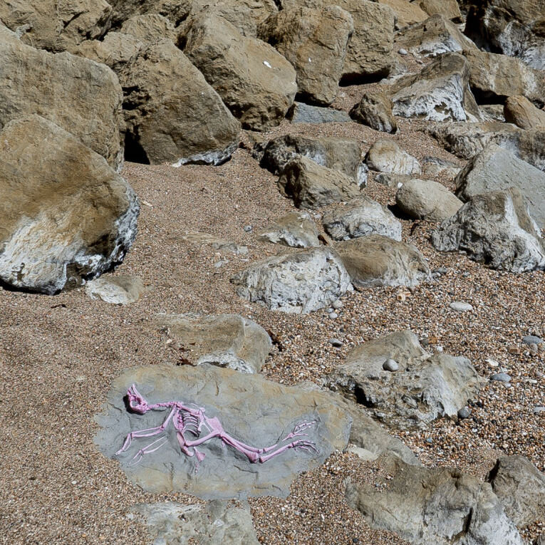Gizmodo: The Fossils of the 21st Century