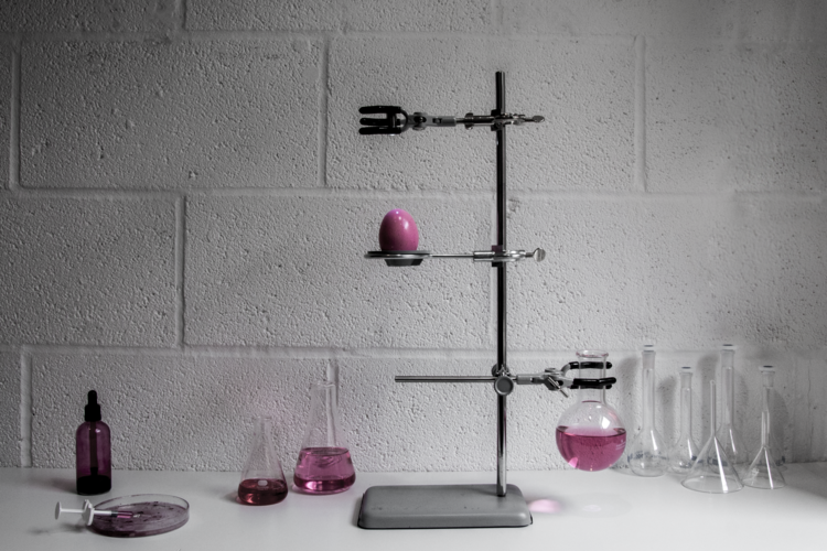 Discover Magazine: Scientists Propose a New Marker for the Anthropocene: Chickens