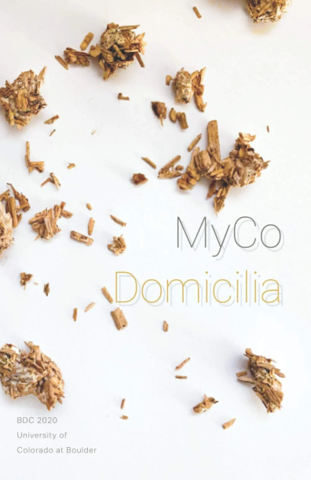MyCo Domicilia Publishes Mycelium Recipe Book