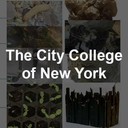 ccny2019.png
