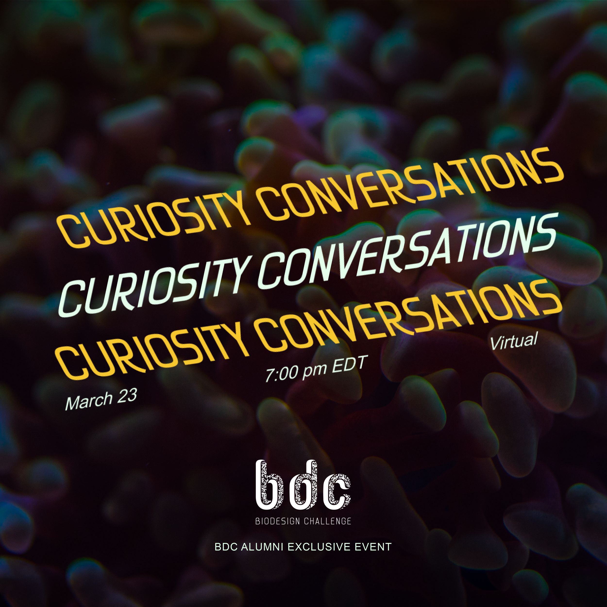 BDC Alumni Curiosity Conversation #2