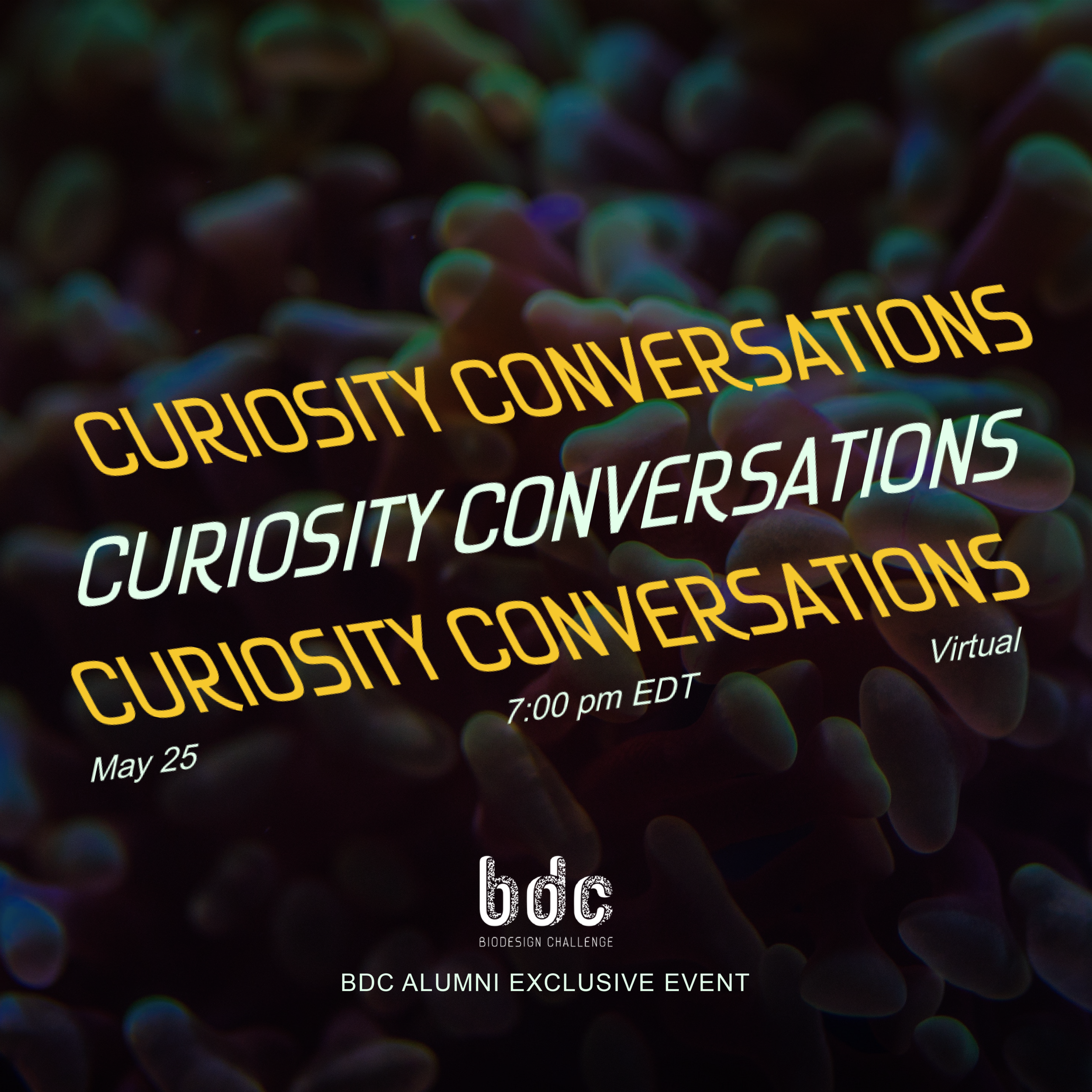 May 25, BDC Alumni Curiosity Conversation