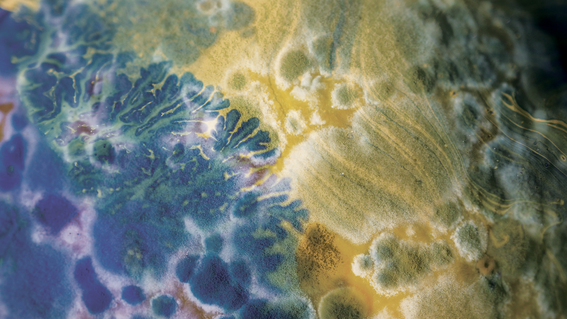 Issues in Science and Technology: What is Biodesign?