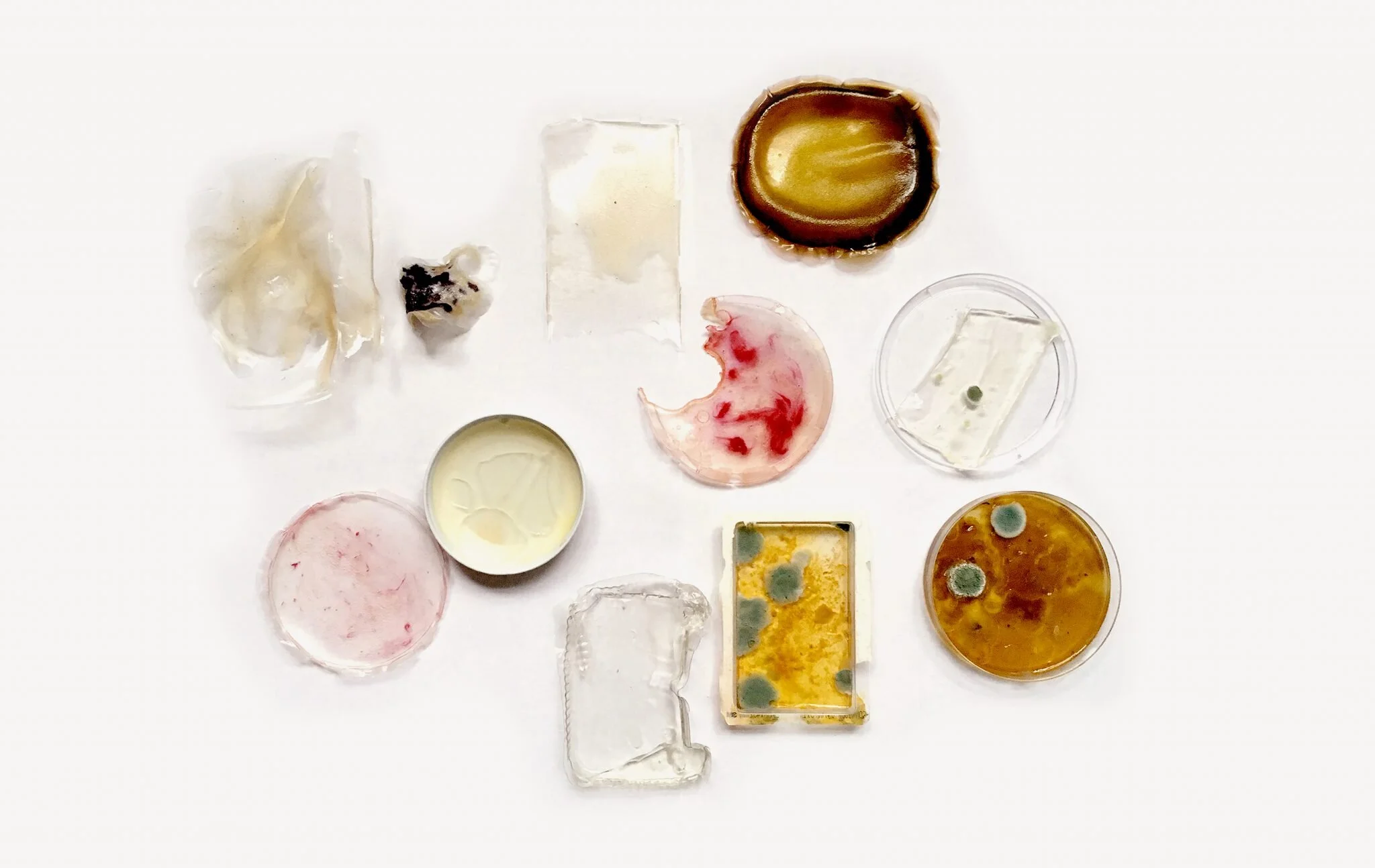 What Design Can Do: Jellyfish plastics and grow-it-yourself toys