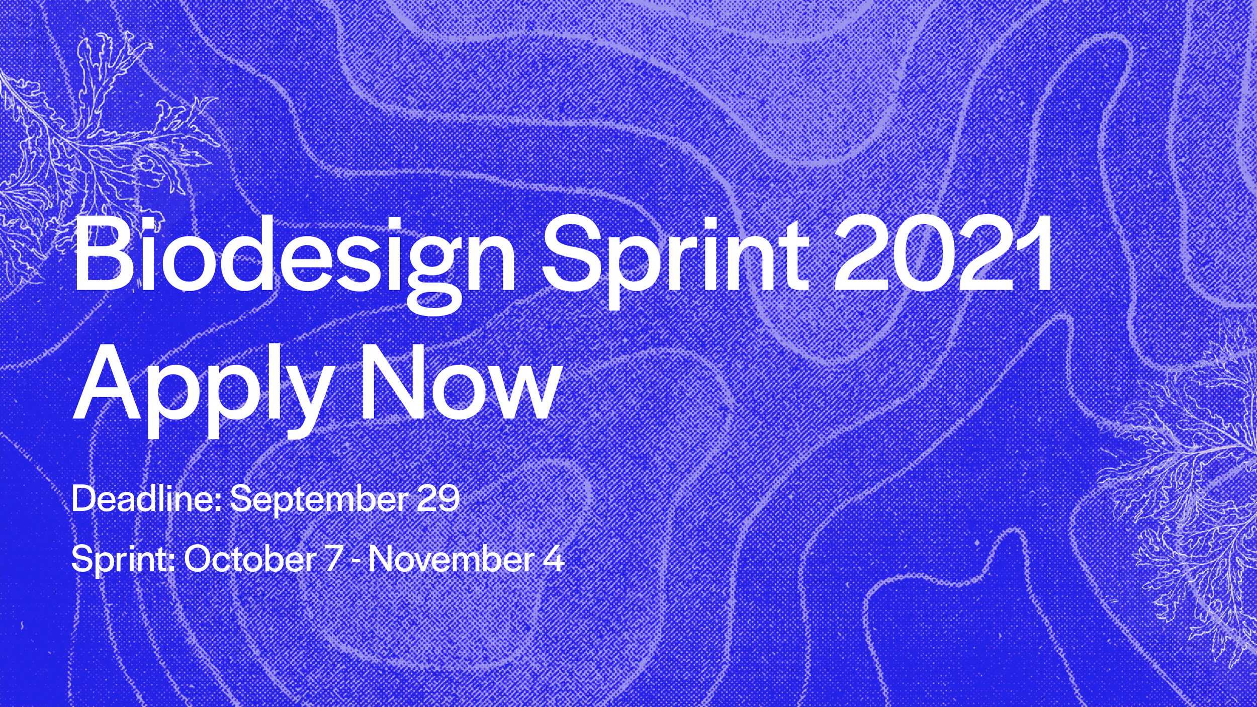 Creative Teams to Use Biotechnology to Reimagine the Future of Consumer Electronics 