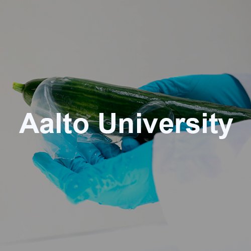 Aalto 2021.jpg