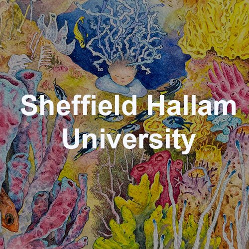 Sheffield Hallam 2021.jpg