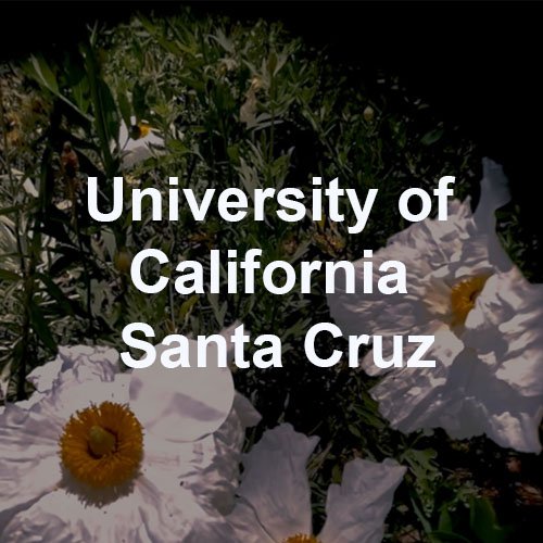 University Cali Santa Cruz.jpg