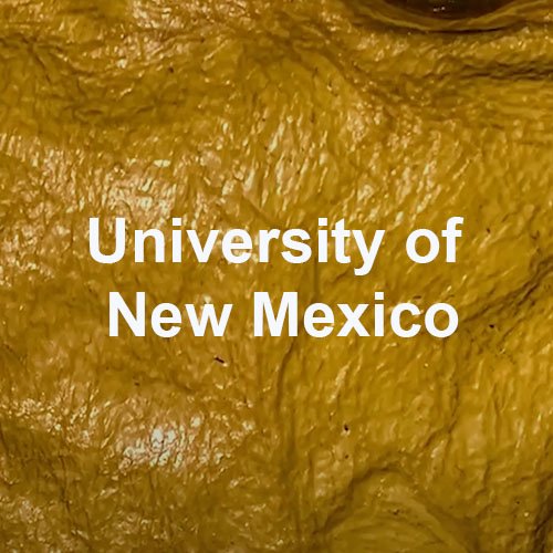 University of New Mexico.jpg