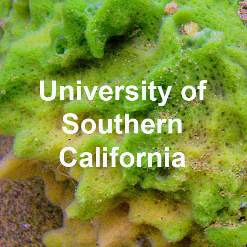 University of Southern Cali.jpg