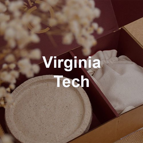 Virginia Tech.jpg