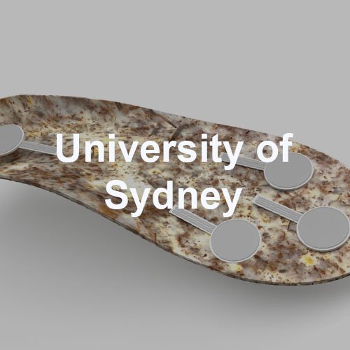 Uni of Sydney 2021.jpg