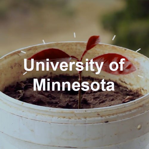 Uni of Minnesota 2021.jpg