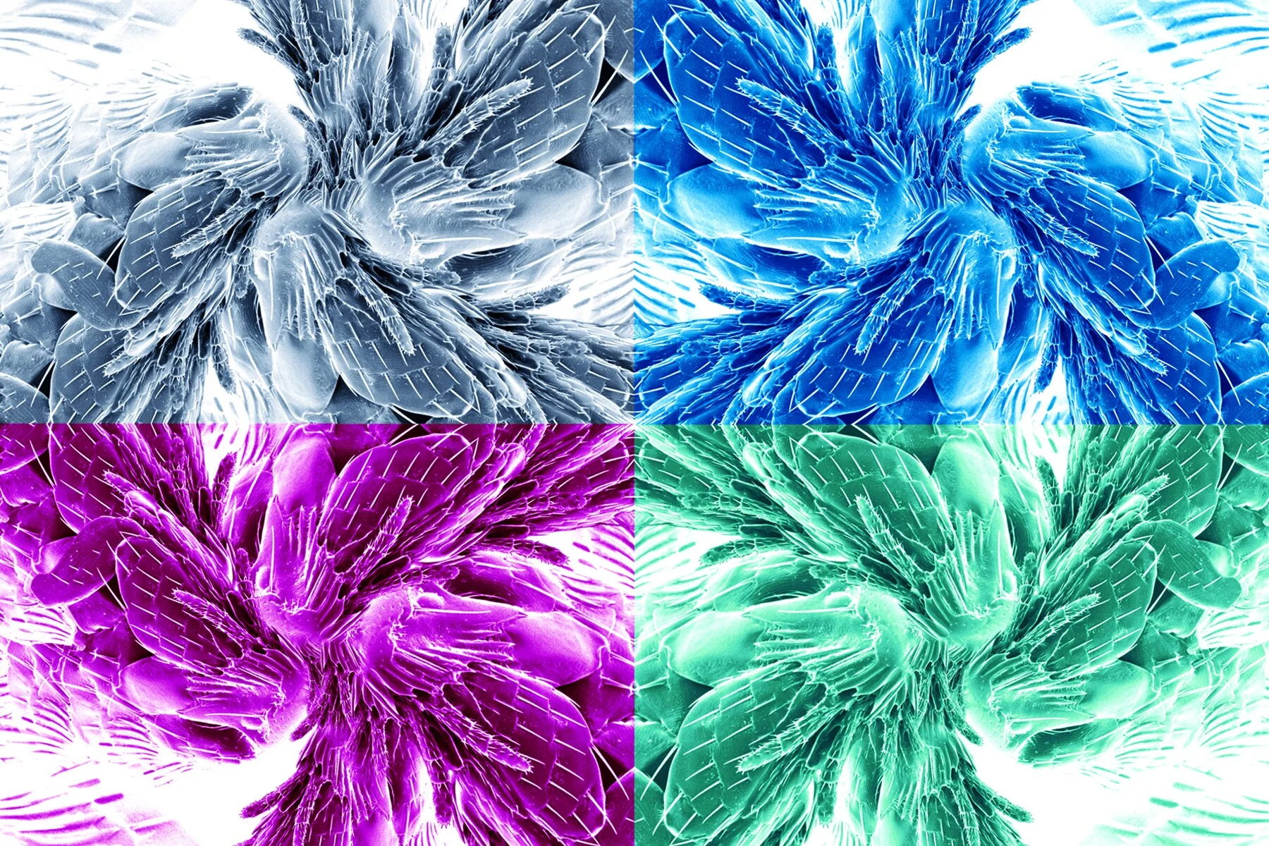 Gallery Exhibition, THRIVE: A Biodesign Challenge Retrospective: 4/14 - 6/26