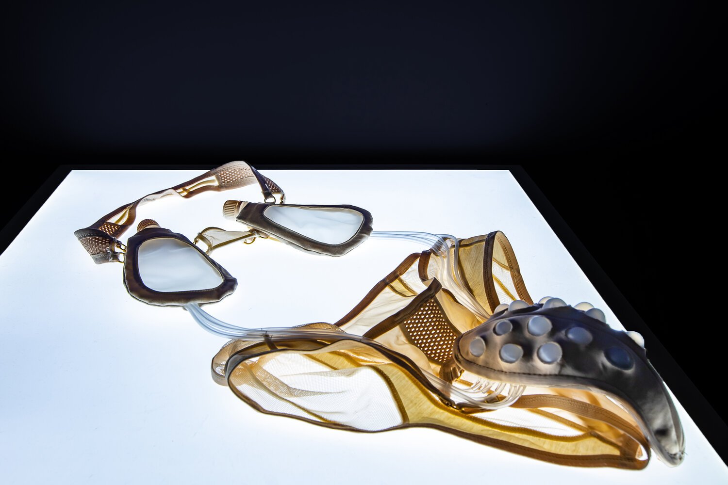 Next Nature Network: THRIVE: an expo in designing nature and growing technology