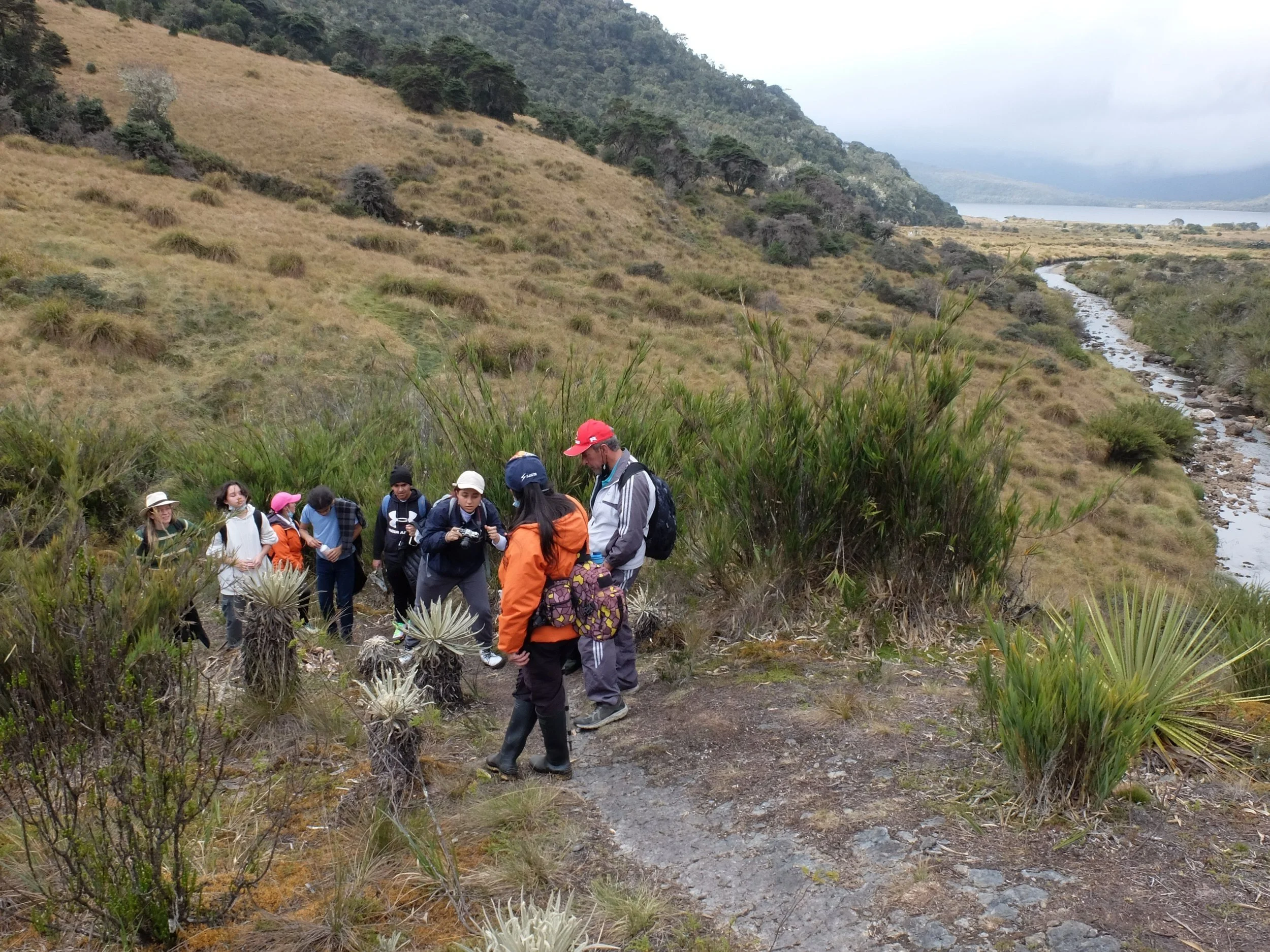 Students from Universidad de los Andes are Winners of BDC Summit 2022