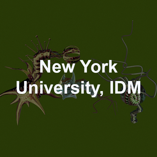 NYU.png