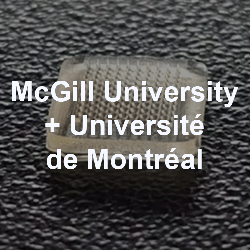 McGill-1.png