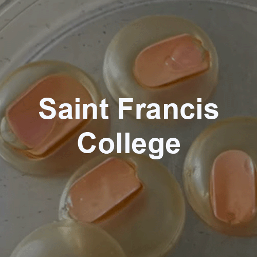 St. Francis.png