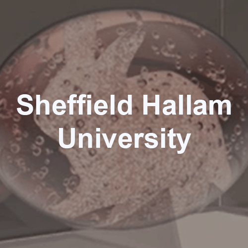 Sheffield Hallam.png