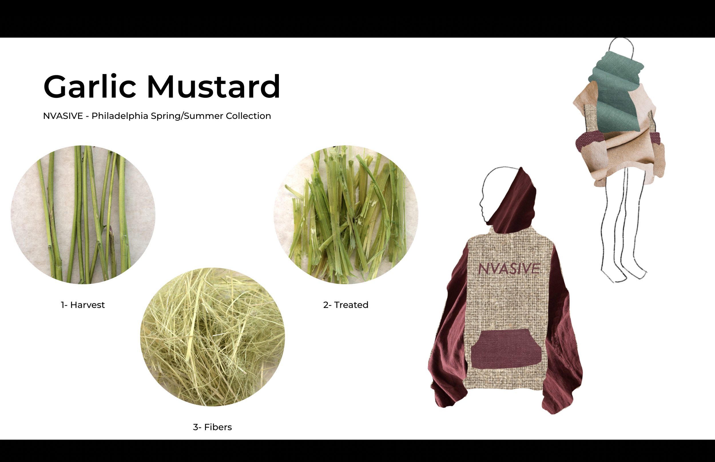 NVASIVE - 0-Mile fashion - Garlic Mustard.png