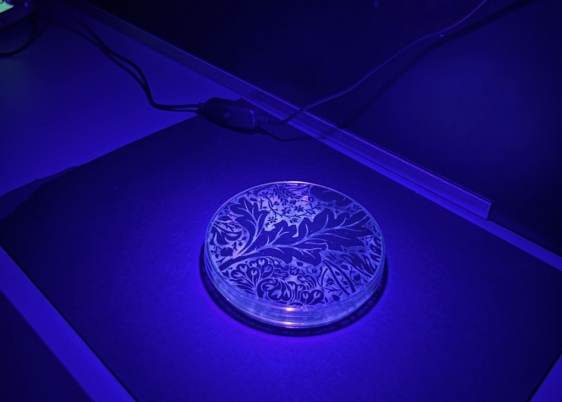 6-UV-test-print-penlight-and-3inch-petri-dish-design-by-William-Morris.jpg
