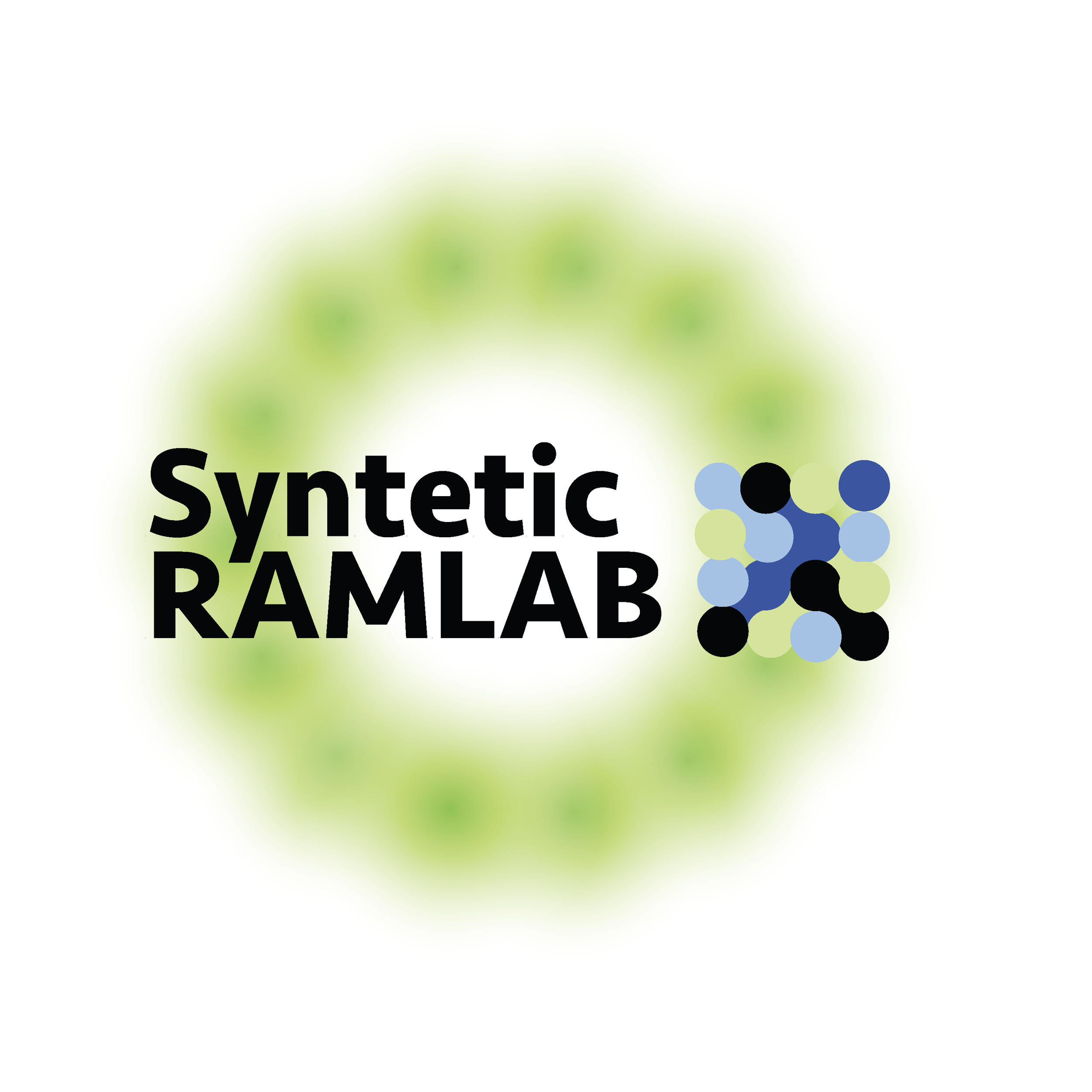 syntetic ramlab_Paìgina_1.png