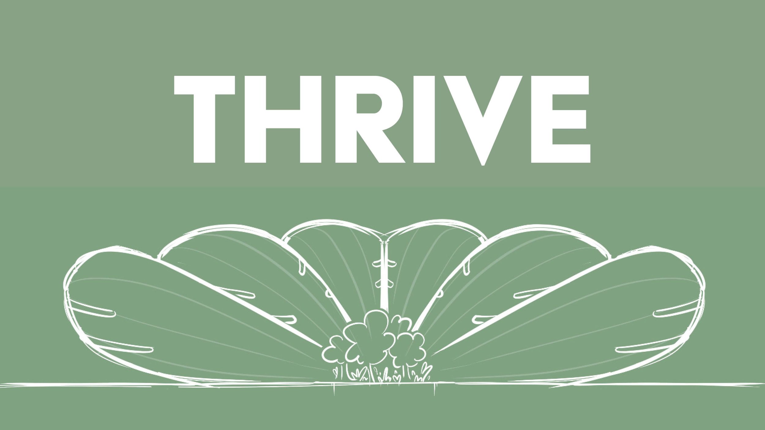 Thrive Hive BDC 2023 (Thrive).jpg
