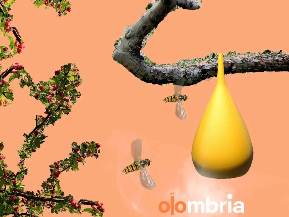Olombria featured in Pressat article "A Little AI With Your Wimbledon Strawberries"