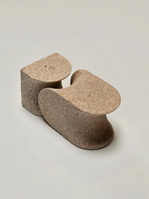 Shell we dance_full & half bio-block.jpeg