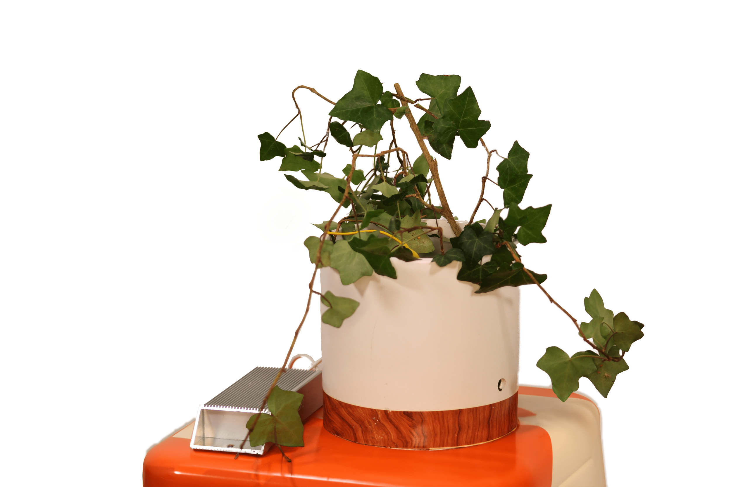 Ivy PM Fuel Cell WB.png