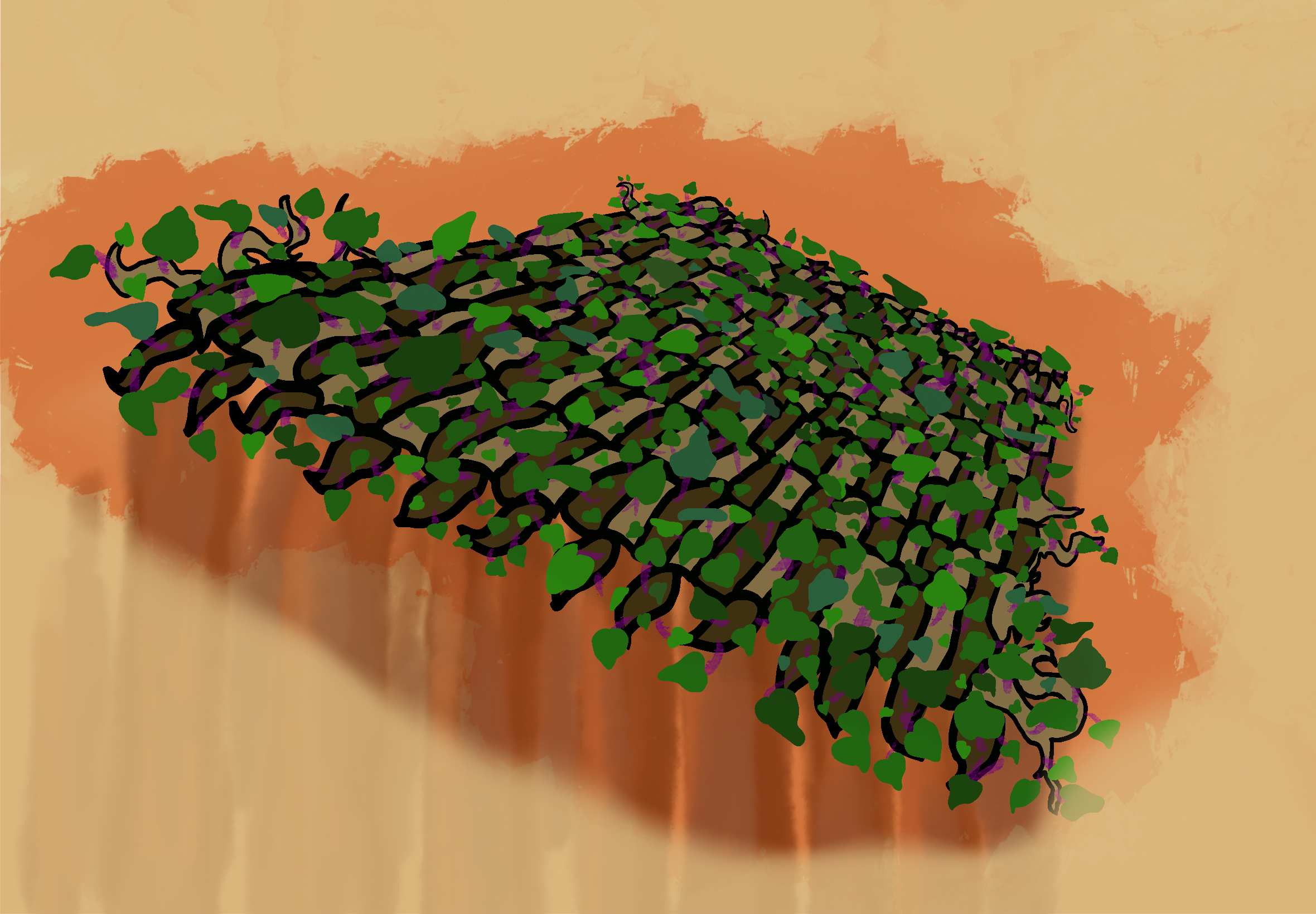 Ivy roof_ solar panel drawing.PNG