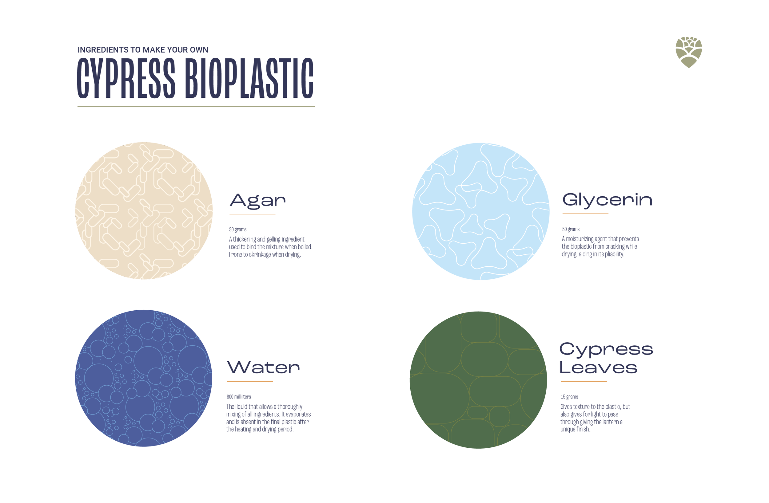 Cypress-Fest-Image4.png