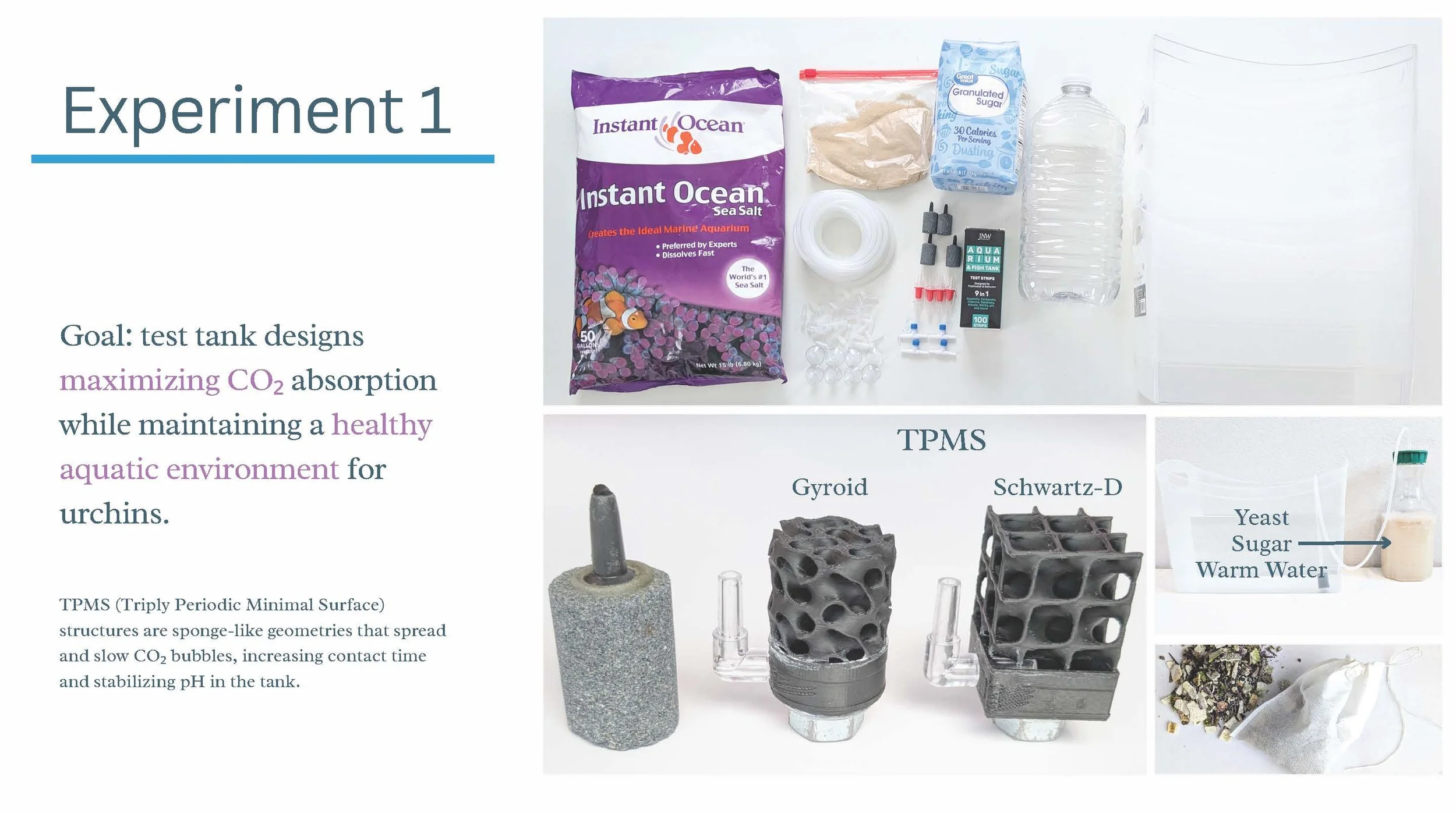 08_Experiment1_Overview.jpg