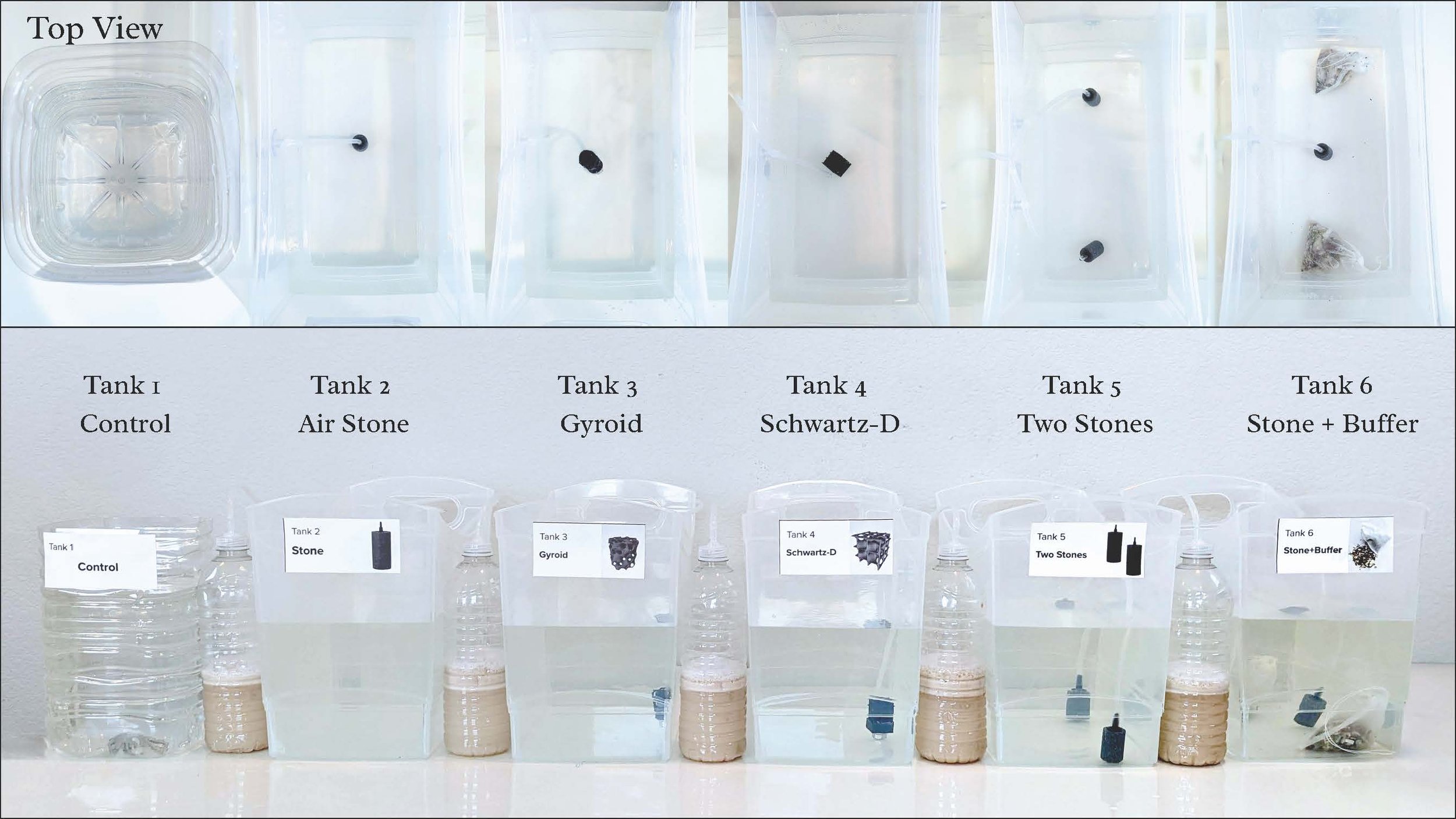 08_Experiment1_Setup.jpg