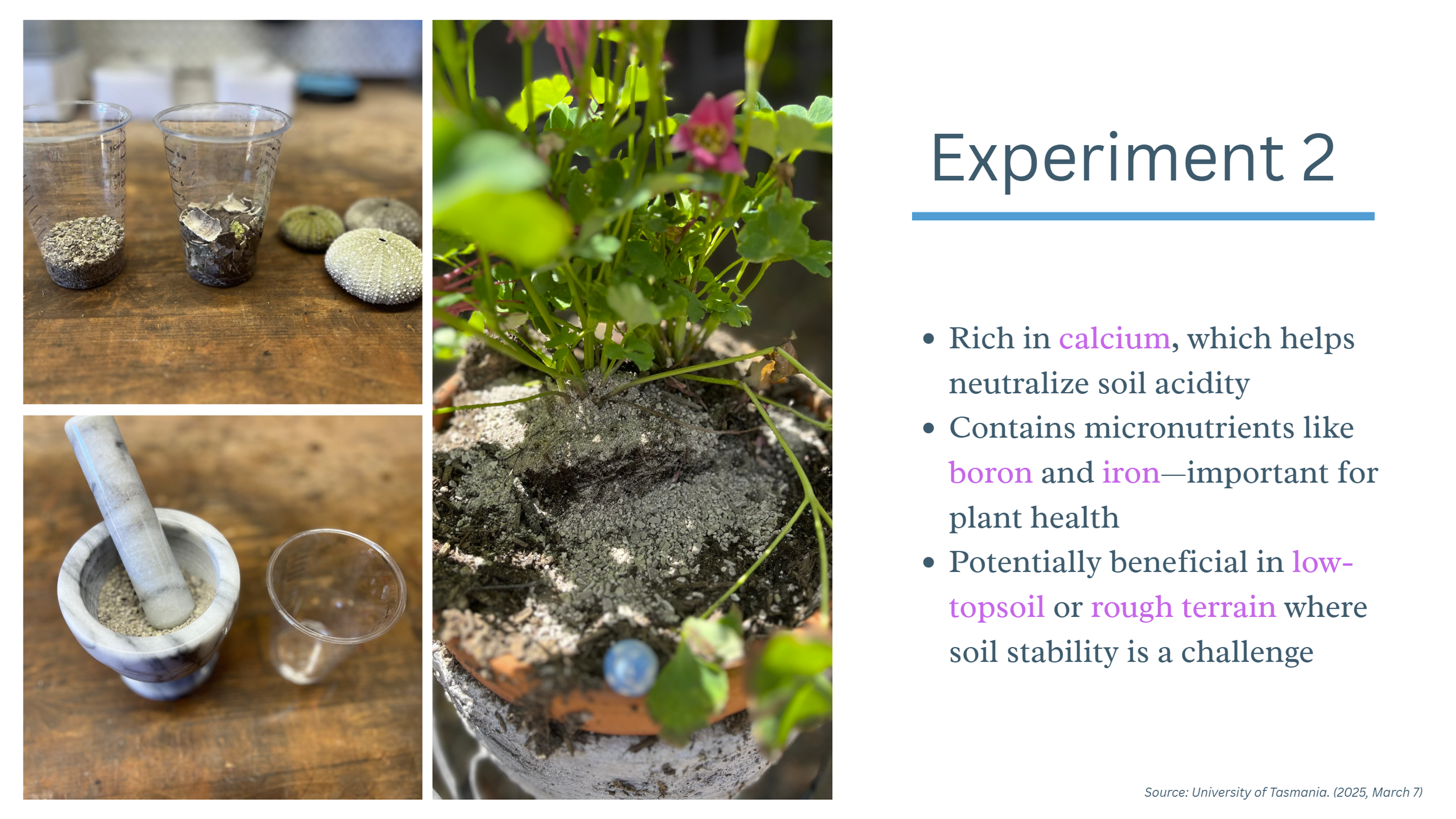 08_Experiment2.png