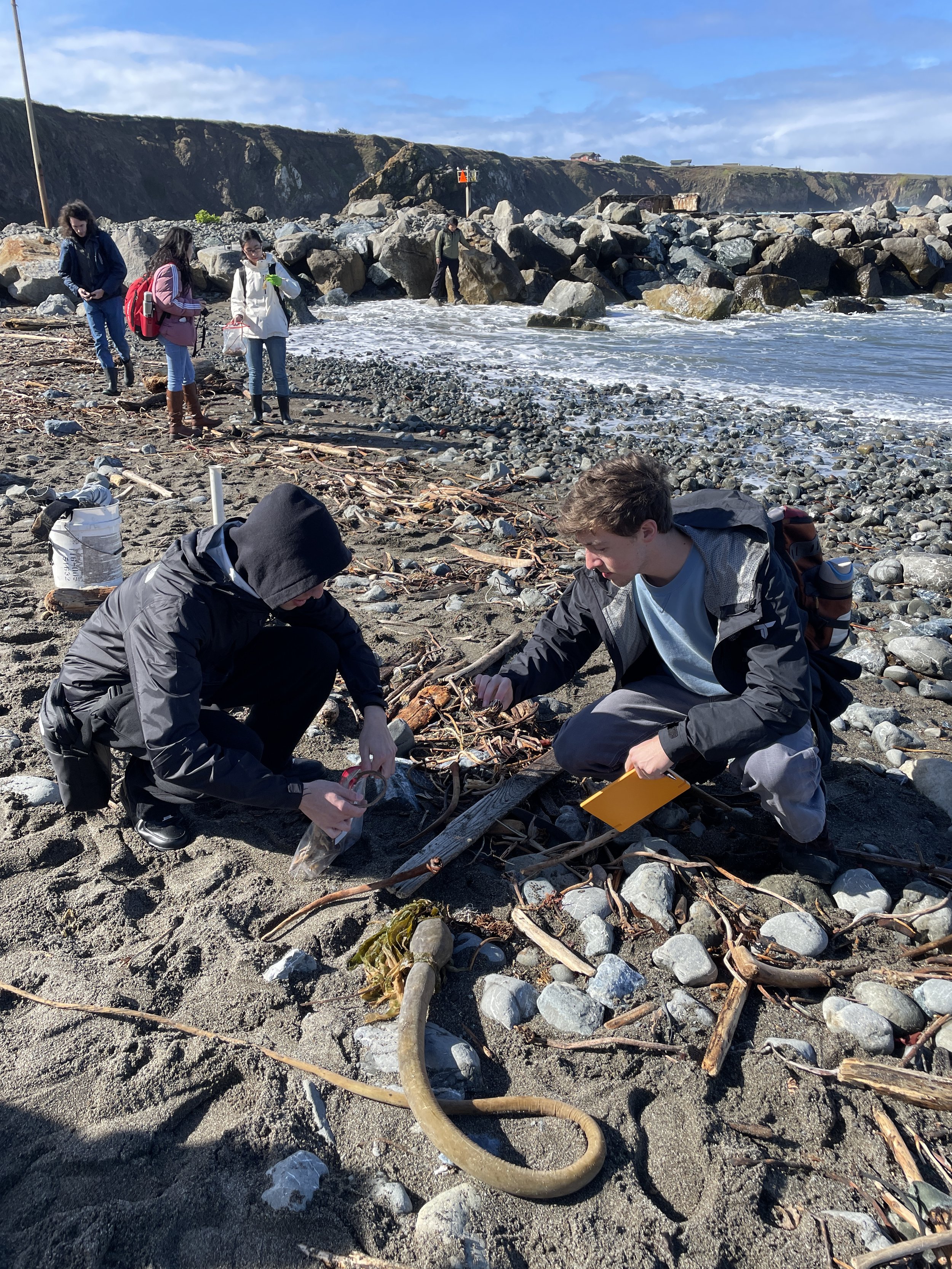 11_Fieldtrip_BullKelp.JPG