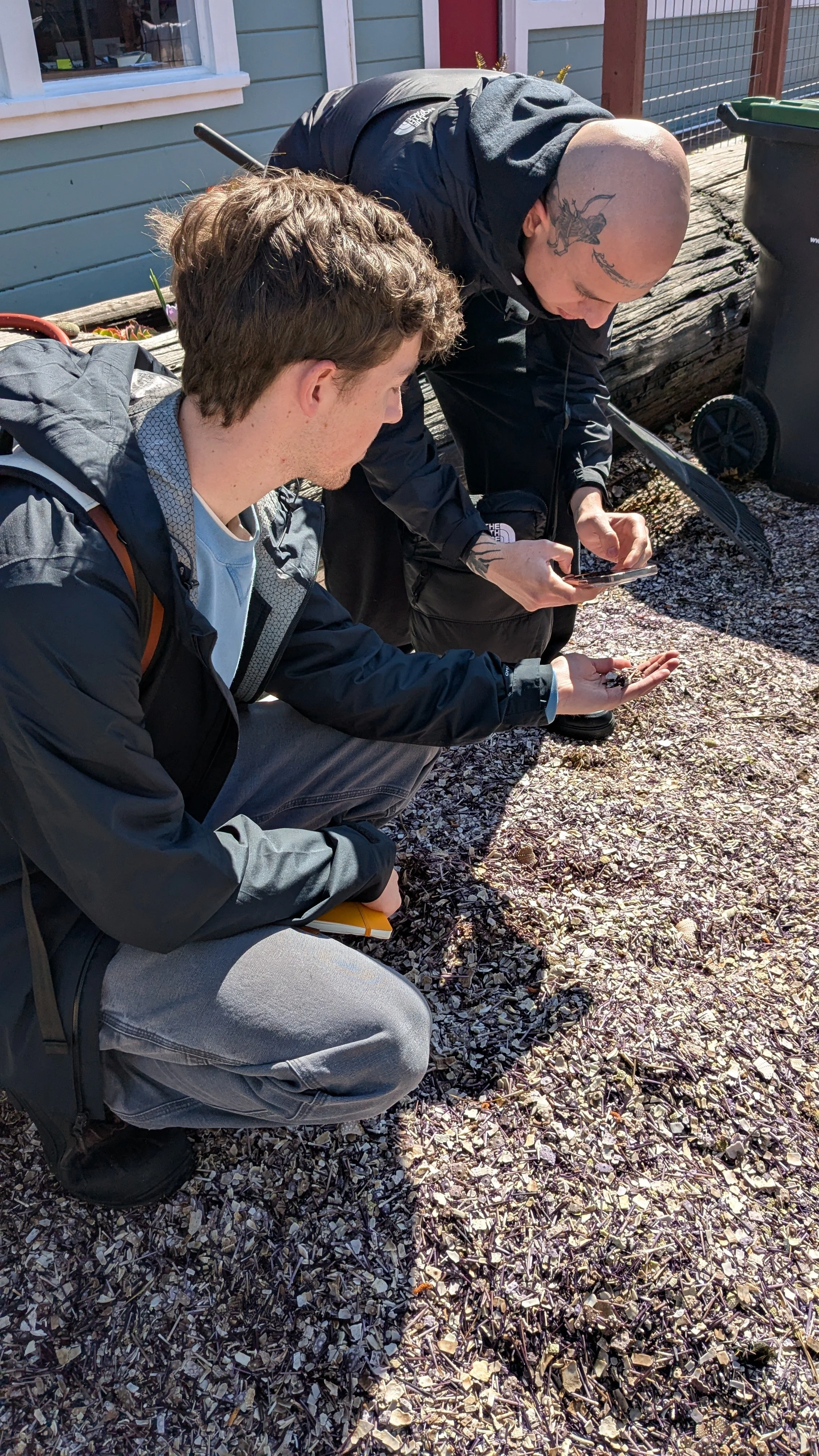 11_Fieldtrip_UrchinTestforPavement.jpg