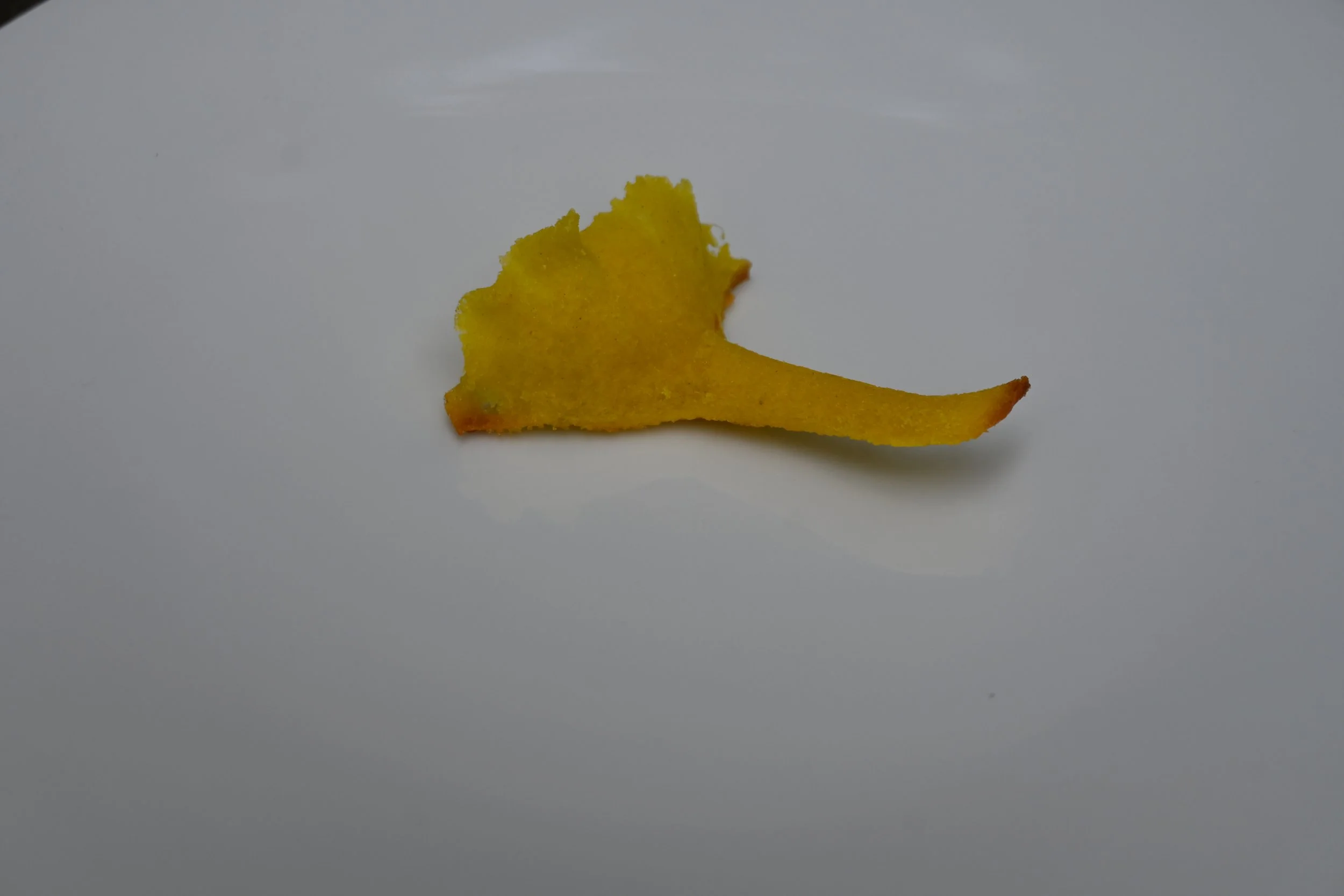 DSC_2041.JPG
