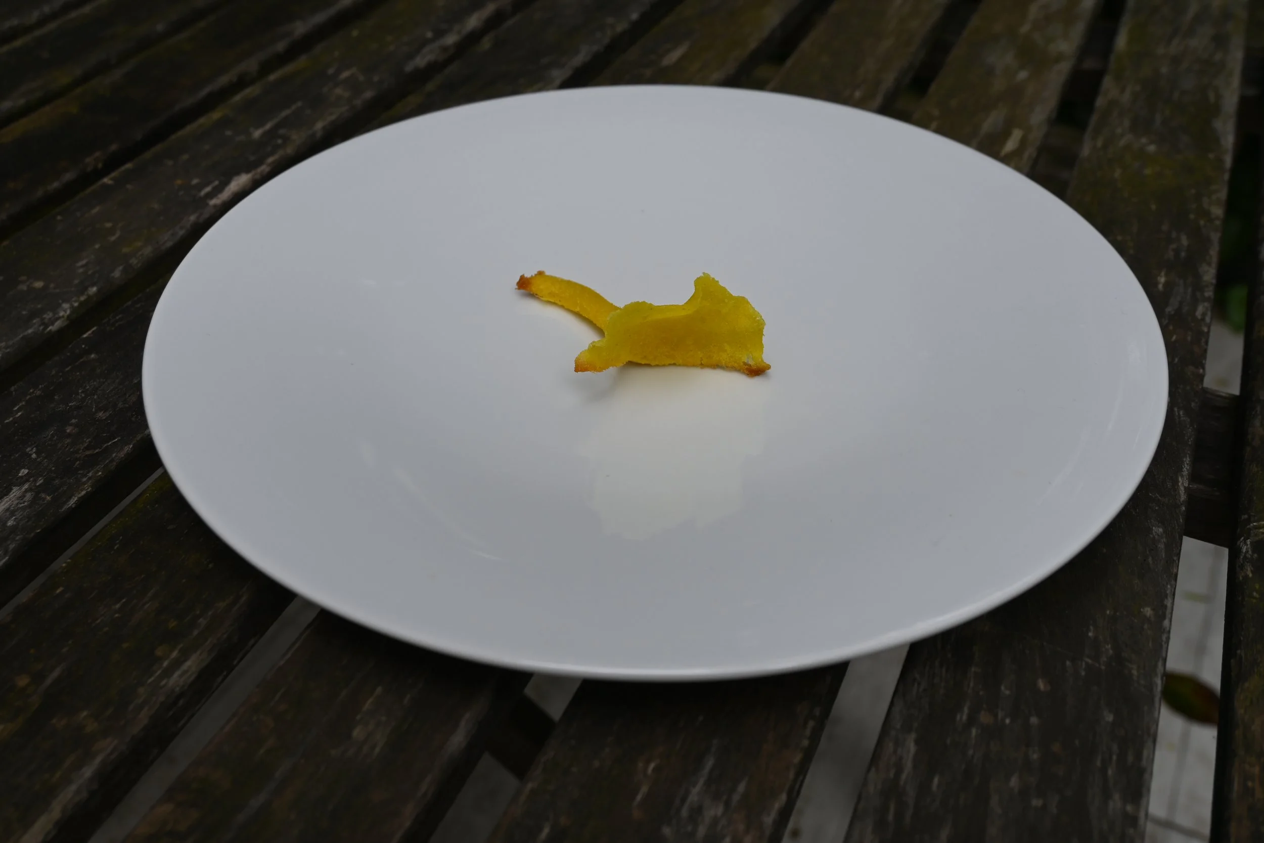 DSC_2049.JPG