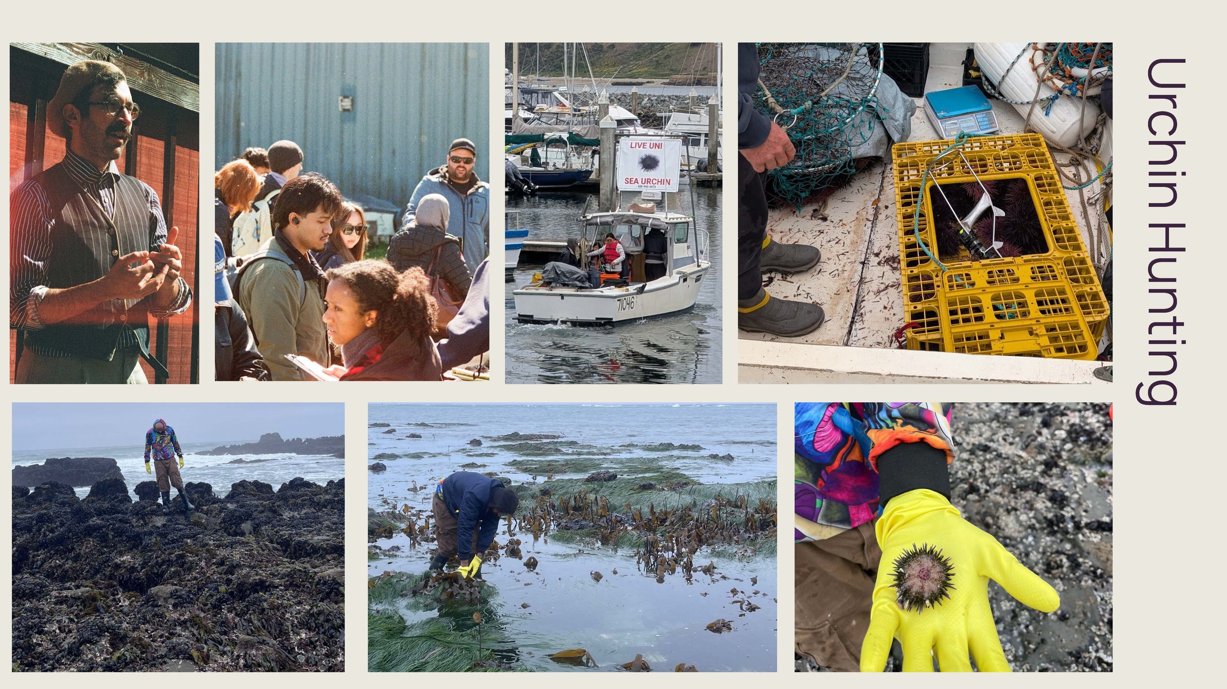 JANUS_ Kelp Recovery Urchin Trap Final Prez_Page_07.jpg