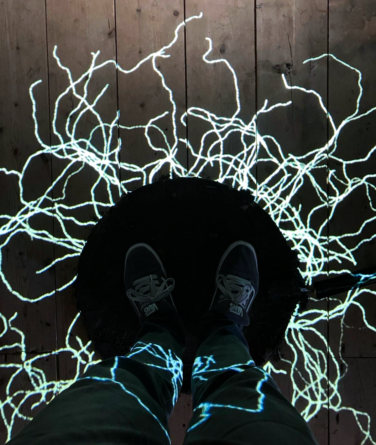 The Understory still 8.png