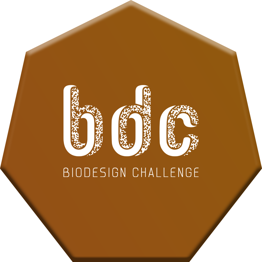 Bronze Award