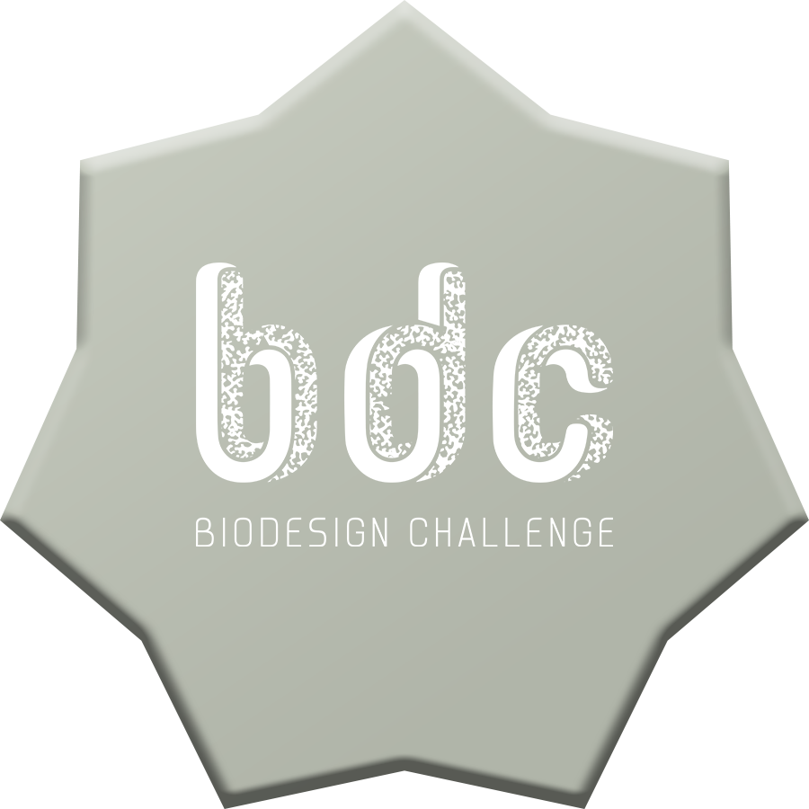 Silver Award