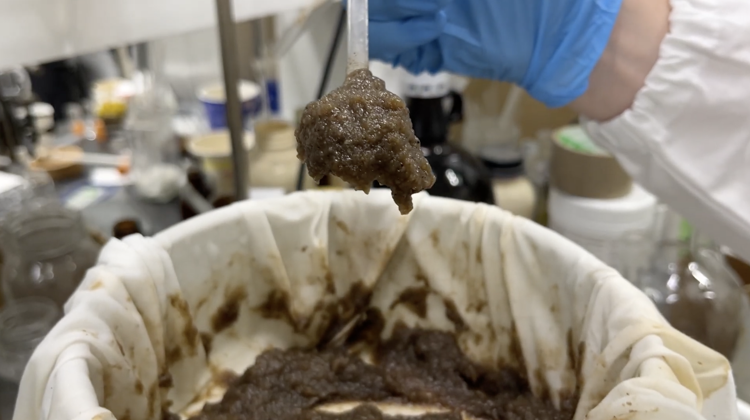 9.5 Chitosan Extracted.png