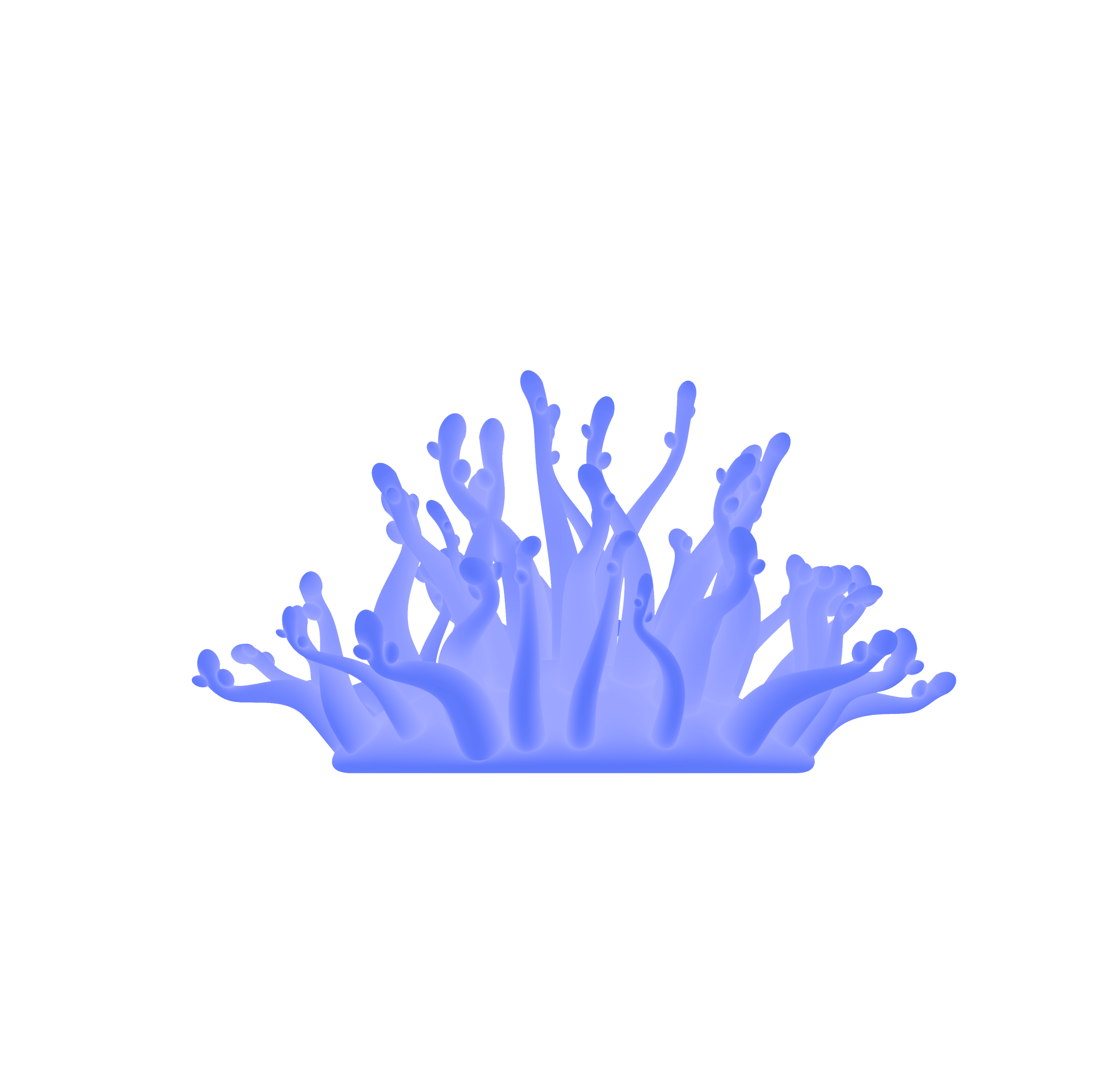 Bladderwrackbluefront.png（副本）.png