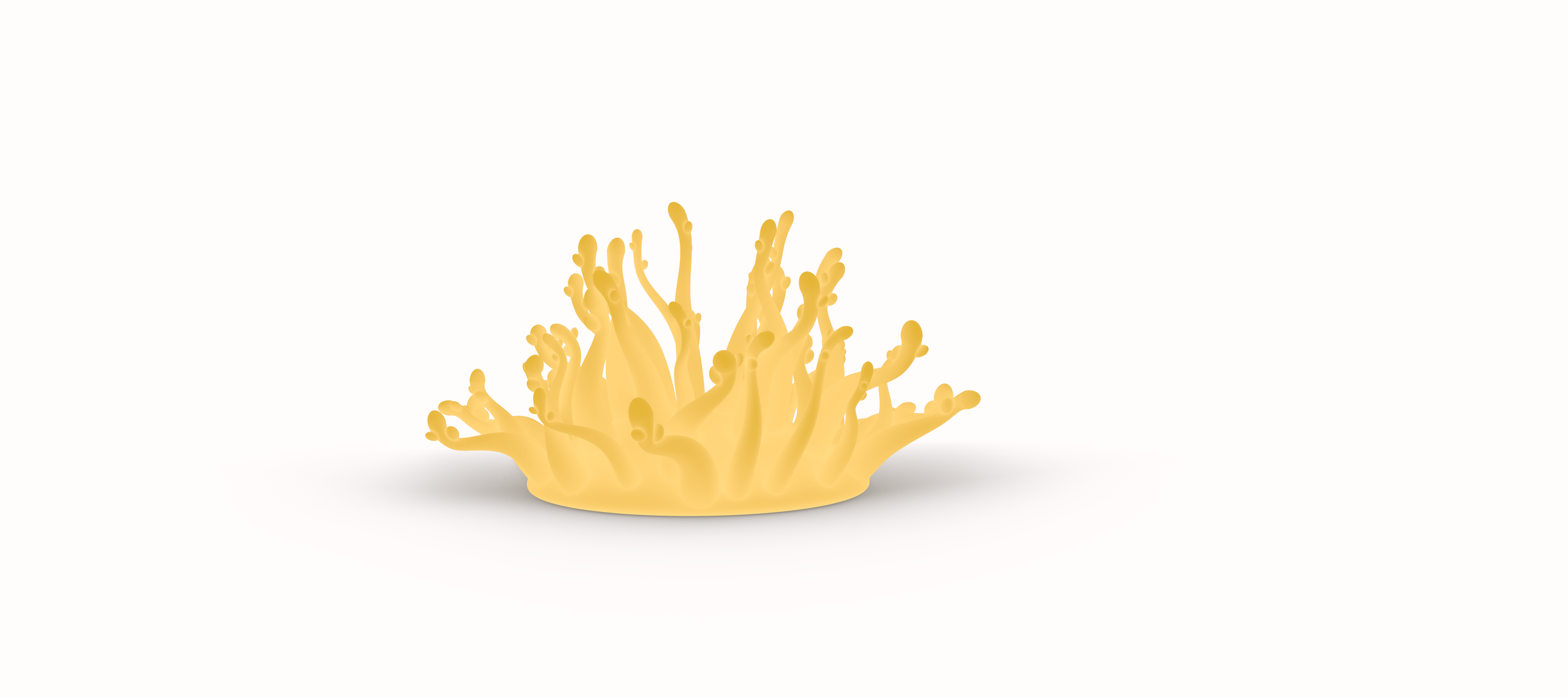 Bladderwrackyellow1.png（副本）.png