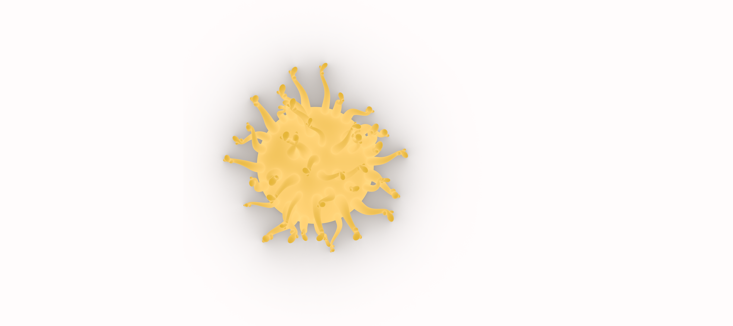 Bladderwrackyellowtop.png（副本）.png