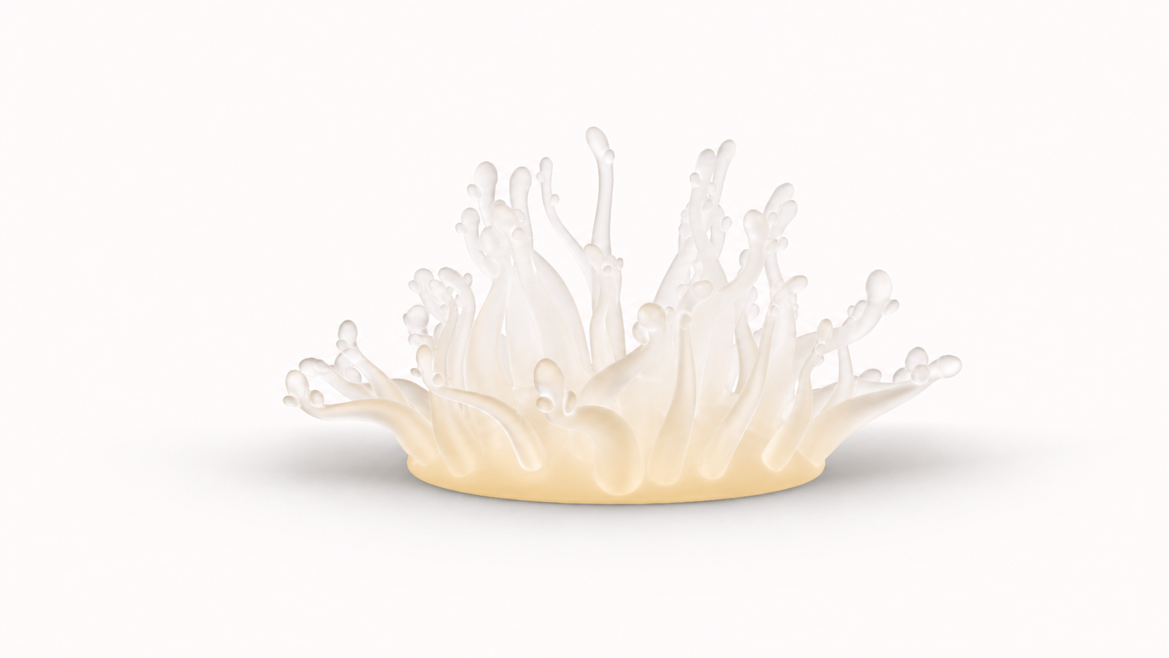 yellowtowhite.png（副本）.png