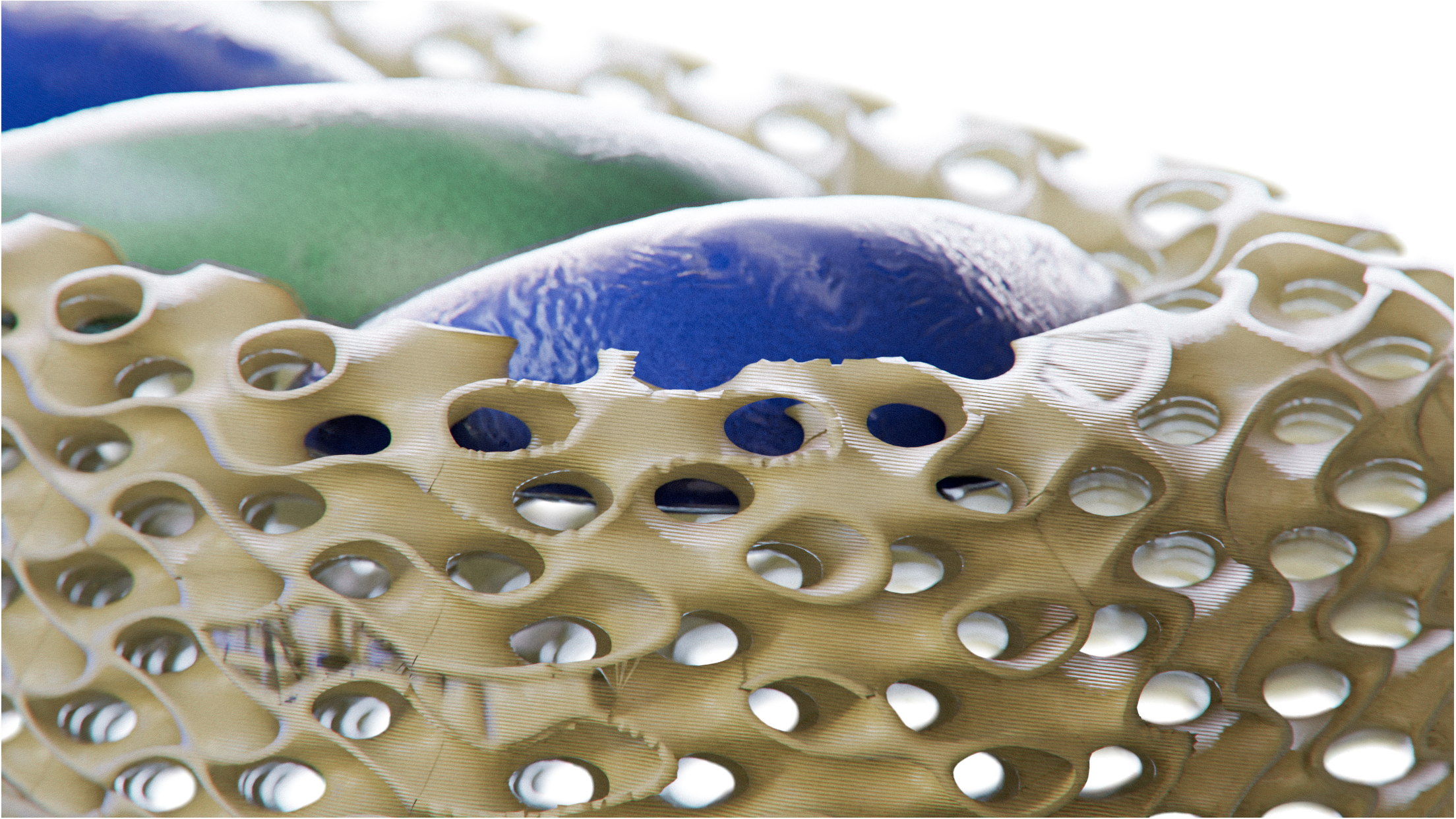 Closeup2.png